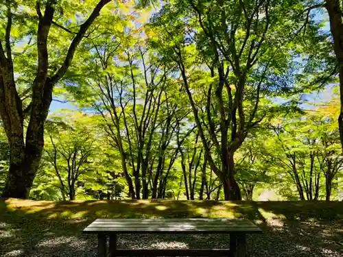 土津神社｜こどもと出世の神さまの景色