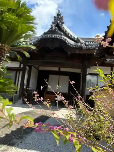 教信寺のその他建物