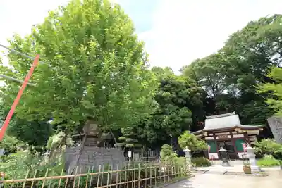 瀧泉寺（目黒不動尊）(東京都)