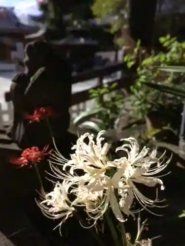 成願寺(東京都)