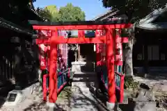 牛嶋神社の鳥居