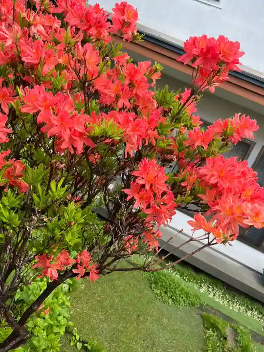 宝壽山 吉祥院の自然