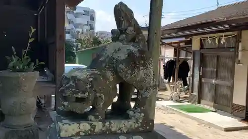 松尾神社の狛犬