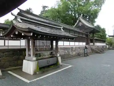 阿蘇神社の手水舎