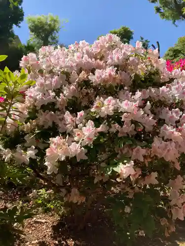 根津神社の自然
