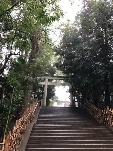 渋谷氷川神社の鳥居