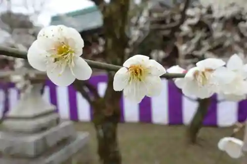 北野天満宮の自然