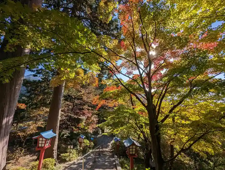 大善寺(山梨県)