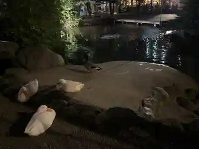 平塚八幡宮(神奈川県)