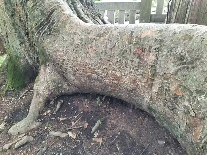 諏訪大社(長野県)