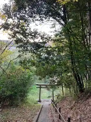 白山神社の鳥居