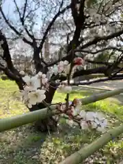 曽根天満宮の庭園