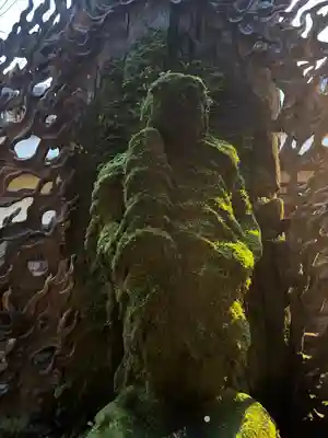 法善寺(大阪府)