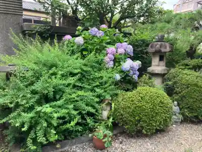瑞泉寺(東京都)