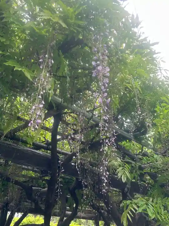 亀戸天神社(東京都)