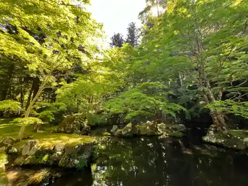 北畠神社の{uncategorized: "未分類", other: "その他", undefined: "問題あり", building: "その他建物", grave: "お墓", sacred_gate: "鳥居", guardian: "狛犬", statue: "像", buddha: "仏像", history: "歴史", nature: "自然", garden: "庭園", animal: "動物", pagoda: "塔", temizu: "手水舎", mountain_gate: "山門・神門", sanctuary: "本殿・本堂", subordinate: "末社・摂社", art: "芸術", scenery: "景色", jizo: "地蔵", ema: "絵馬", goshuin: "御朱印", omikuji: "おみくじ", items: "授与品その他", amulet: "お守り", goshuincho: "御朱印帳", eats: "食事", festival: "お祭り", votive_dance: "神楽", shichigosan: "七五三参", wedding: "結婚式", experience: "体験その他", initially: "初詣", around: "周辺", anti_infection: "感染症対策"}