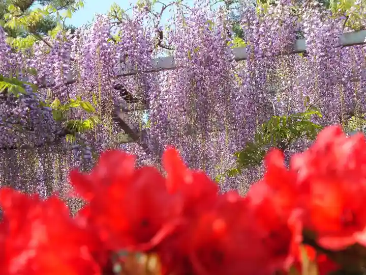 三大神社のその他建物