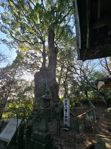 柞原八幡宮の{uncategorized: "未分類", other: "その他", undefined: "問題あり", building: "その他建物", grave: "お墓", sacred_gate: "鳥居", guardian: "狛犬", statue: "像", buddha: "仏像", history: "歴史", nature: "自然", garden: "庭園", animal: "動物", pagoda: "塔", temizu: "手水舎", mountain_gate: "山門・神門", sanctuary: "本殿・本堂", subordinate: "末社・摂社", art: "芸術", scenery: "景色", jizo: "地蔵", ema: "絵馬", goshuin: "御朱印", omikuji: "おみくじ", items: "授与品その他", amulet: "お守り", goshuincho: "御朱印帳", eats: "食事", festival: "お祭り", votive_dance: "神楽", shichigosan: "七五三参", wedding: "結婚式", experience: "体験その他", initially: "初詣", around: "周辺", anti_infection: "感染症対策"}