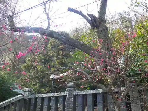御霊神社の自然