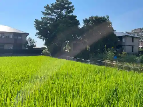 大歳神社(兵庫県)