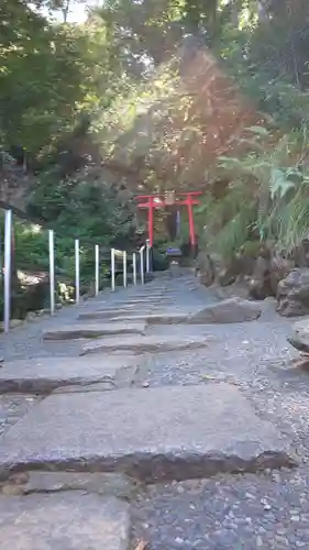 松尾大社の鳥居