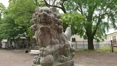 於菊稲荷神社の狛犬