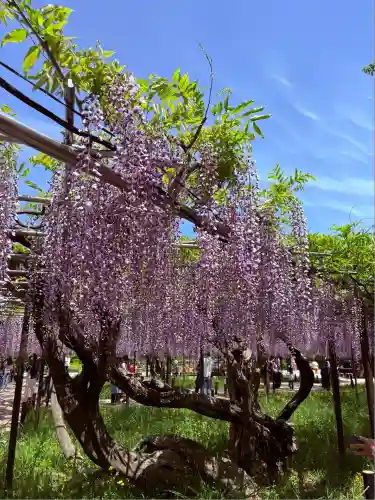 龍城神社(愛知県)