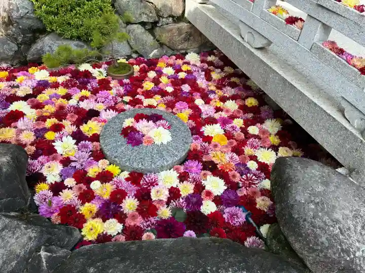 岡寺(龍蓋寺)の{uncategorized: "未分類", other: "その他", undefined: "問題あり", building: "その他建物", grave: "お墓", sacred_gate: "鳥居", guardian: "狛犬", statue: "像", buddha: "仏像", history: "歴史", nature: "自然", garden: "庭園", animal: "動物", pagoda: "塔", temizu: "手水舎", mountain_gate: "山門・神門", sanctuary: "本殿・本堂", subordinate: "末社・摂社", art: "芸術", scenery: "景色", jizo: "地蔵", ema: "絵馬", goshuin: "御朱印", omikuji: "おみくじ", items: "授与品その他", amulet: "お守り", goshuincho: "御朱印帳", eats: "食事", festival: "お祭り", votive_dance: "神楽", shichigosan: "七五三参", wedding: "結婚式", experience: "体験その他", initially: "初詣", around: "周辺", anti_infection: "感染症対策"}