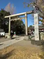 浅草神社の鳥居