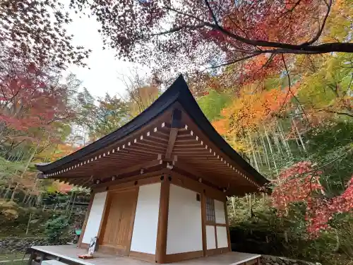 真珠院(神峯山寺塔頭)(大阪府)