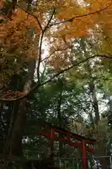 貴船神社の自然
