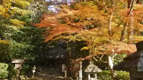 大田神社（賀茂別雷神社境外摂社）の自然