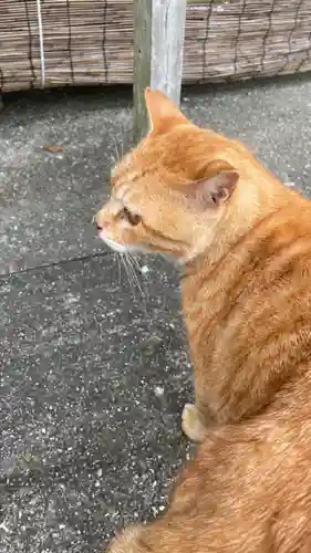 葛木二上神社(奈良県)