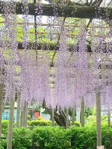 日吉神社(東京都)