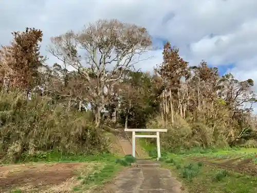 八幡神社の鳥居