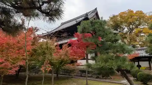 興聖寺(京都府)