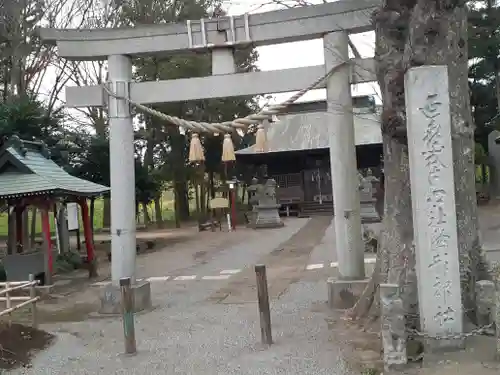 胸形神社の鳥居