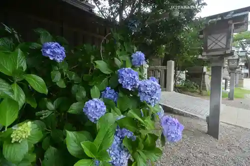 大洗磯前神社(茨城県)
