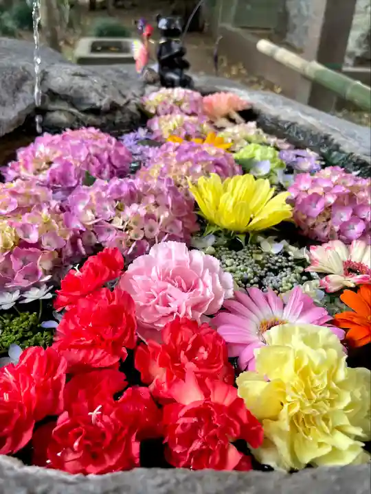 馬場氷川神社(埼玉県)