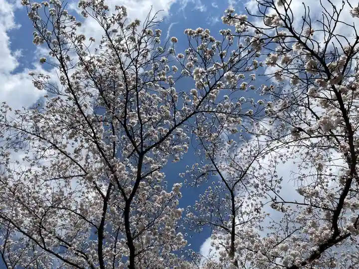 宝菩提院願徳寺(京都府)