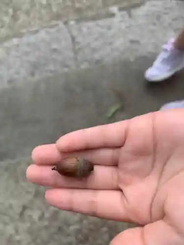 川田八幡神社の授与品その他