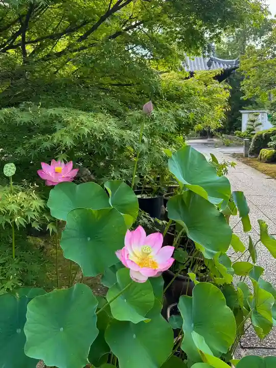伊勢の国 四天王寺(三重県)