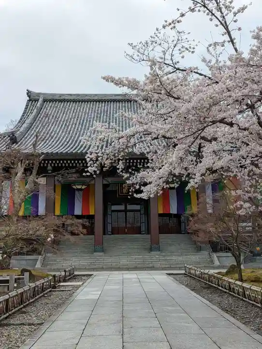 智積院の本殿・本堂