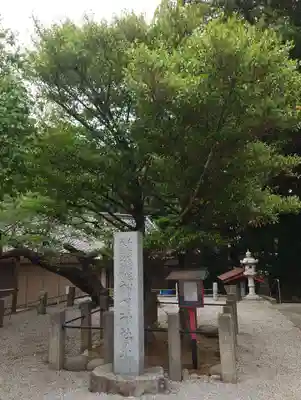 塚崎神明社(千葉県)