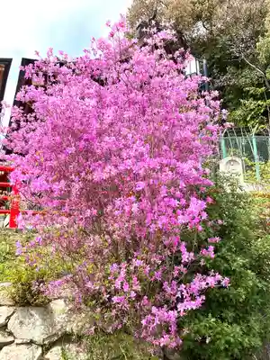 中山寺(兵庫県)