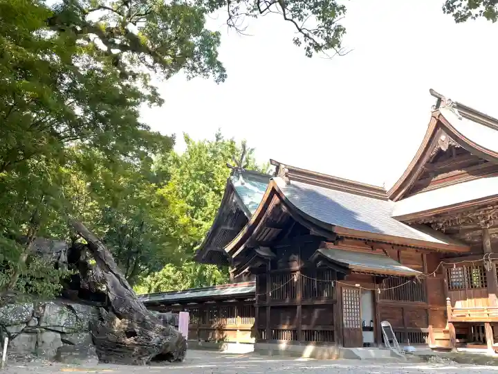 與止日女神社の{uncategorized: "未分類", other: "その他", undefined: "問題あり", building: "その他建物", grave: "お墓", sacred_gate: "鳥居", guardian: "狛犬", statue: "像", buddha: "仏像", history: "歴史", nature: "自然", garden: "庭園", animal: "動物", pagoda: "塔", temizu: "手水舎", mountain_gate: "山門・神門", sanctuary: "本殿・本堂", subordinate: "末社・摂社", art: "芸術", scenery: "景色", jizo: "地蔵", ema: "絵馬", goshuin: "御朱印", omikuji: "おみくじ", items: "授与品その他", amulet: "お守り", goshuincho: "御朱印帳", eats: "食事", festival: "お祭り", votive_dance: "神楽", shichigosan: "七五三参", wedding: "結婚式", experience: "体験その他", initially: "初詣", around: "周辺", anti_infection: "感染症対策"}