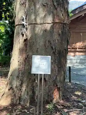 住吉神社(岩手県)