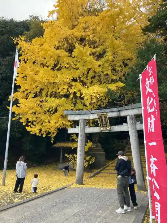 高良神社(京都府)