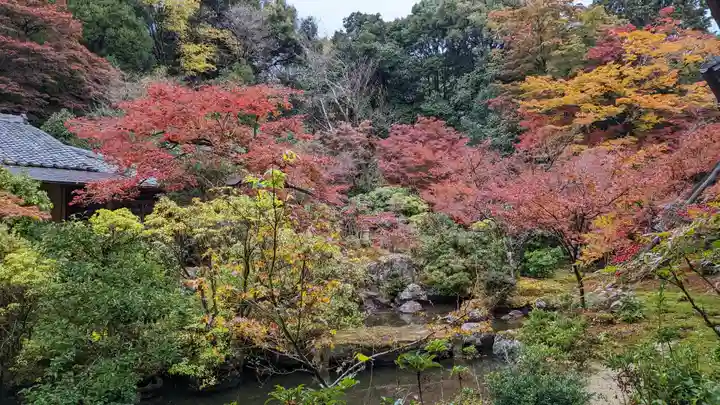 実相院門跡(京都府)