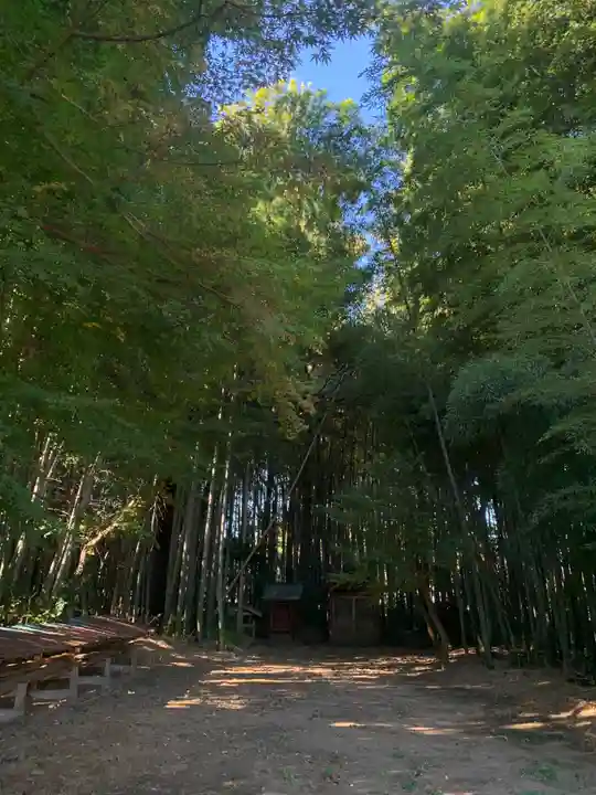 真光寺(千葉県)